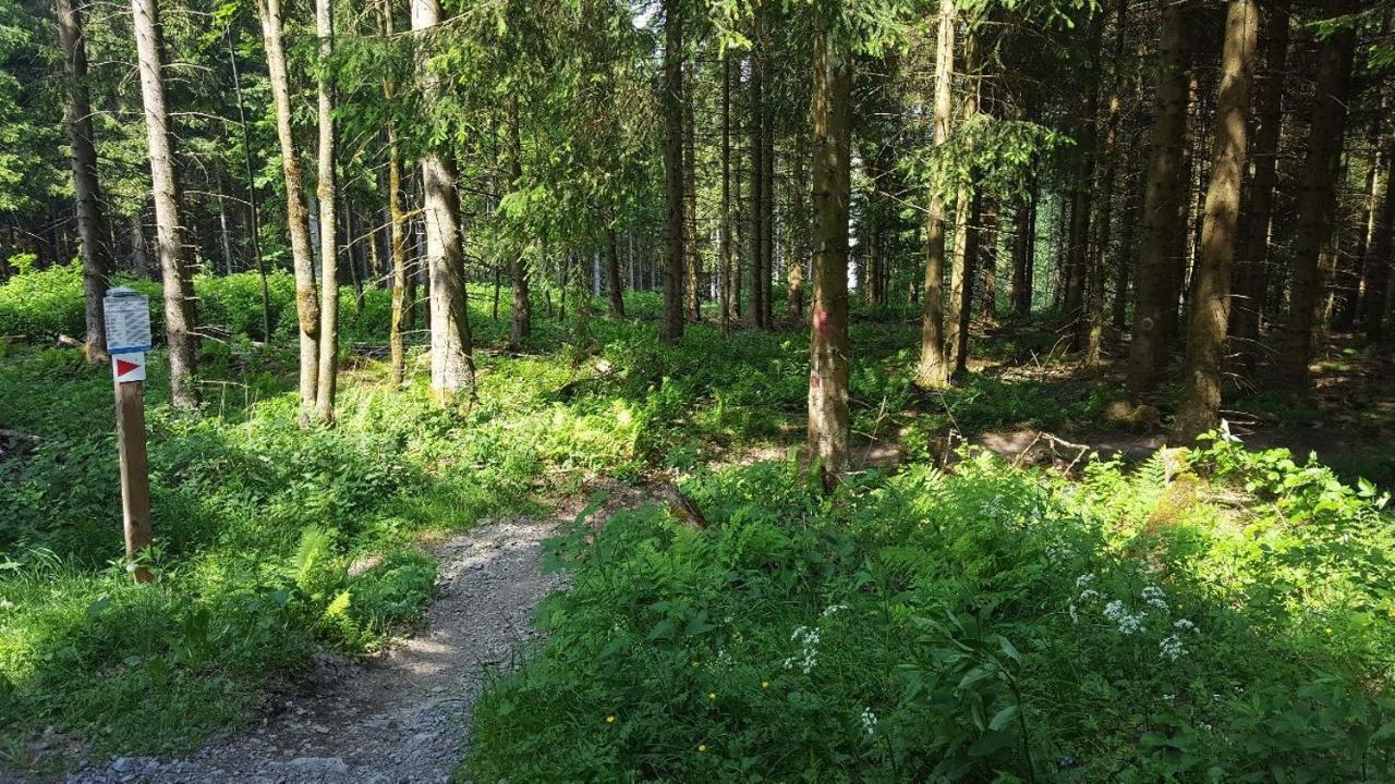 Ferienwohnung Little Home In Winterberg-Neuastenberg المظهر الخارجي الصورة